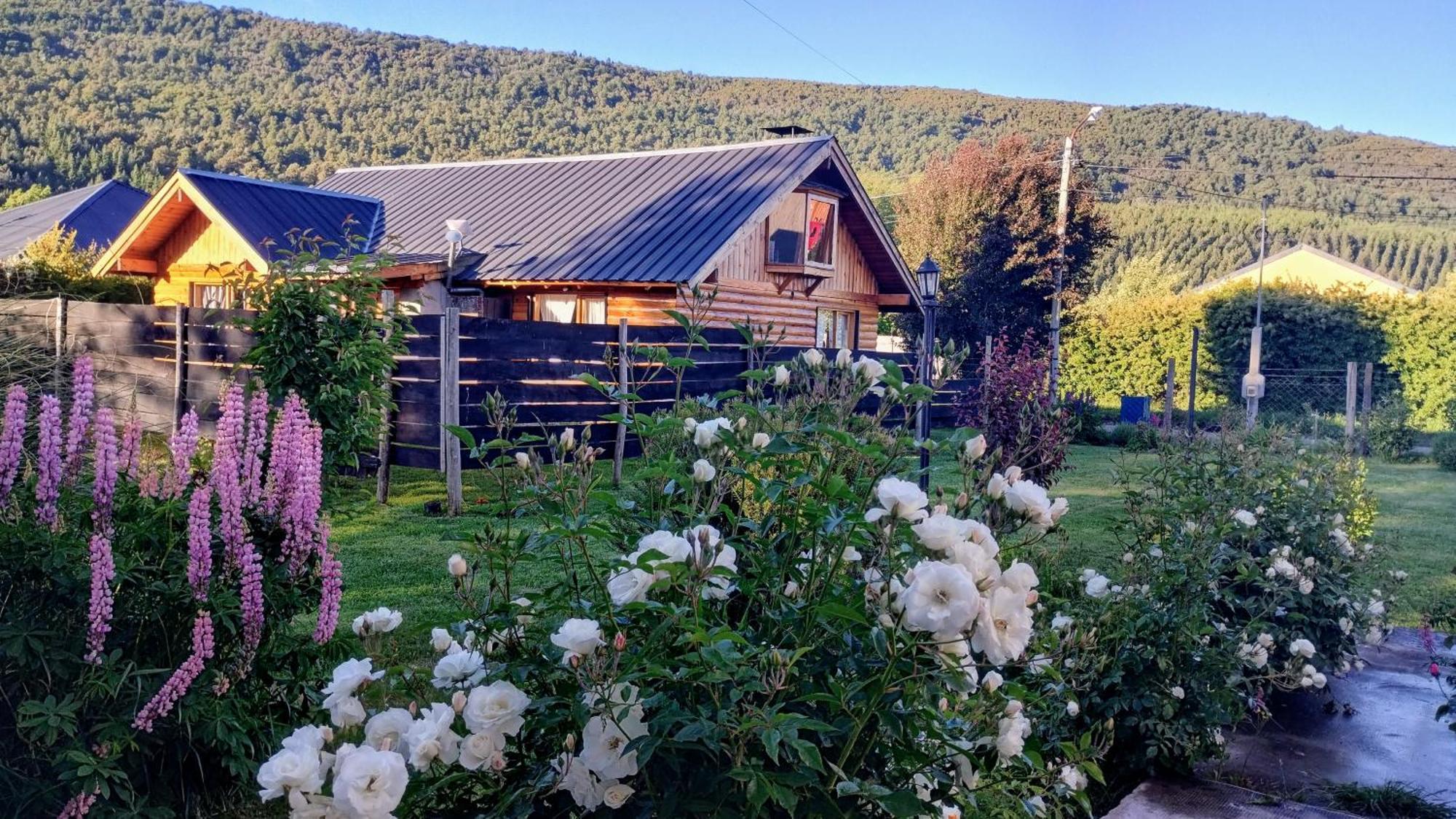 Cabana Los Teros San Martin de los Andes Ngoại thất bức ảnh